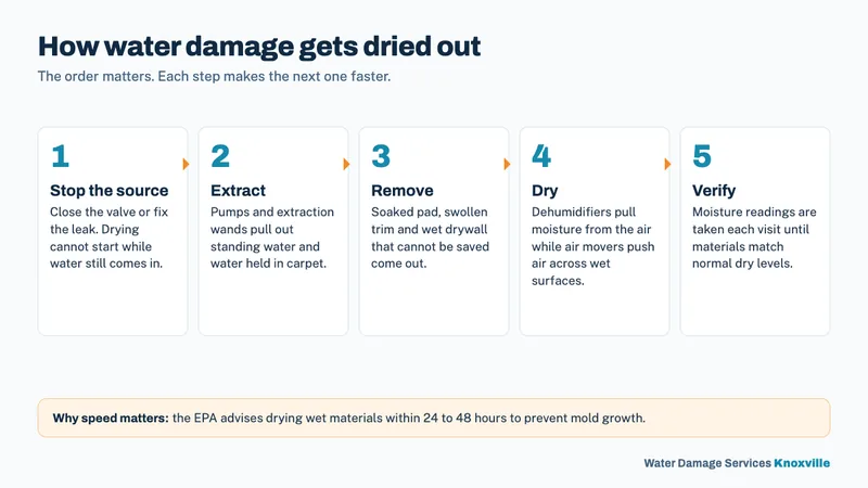 Five-step diagram of the drying process: stop the source, extract, remove, dry, and verify with moisture readings
